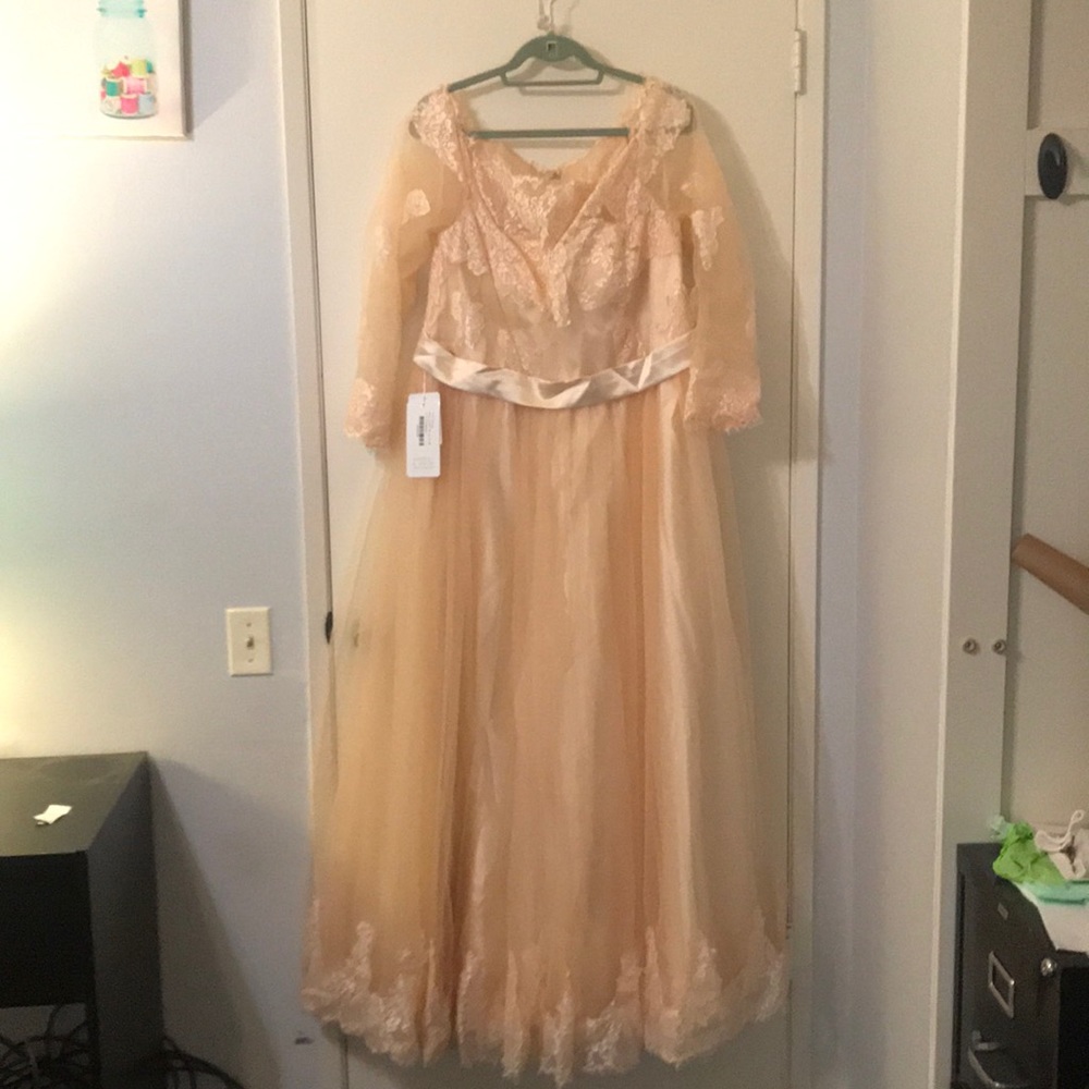 🎉OBO🎉 Plus Size Champagne Gown